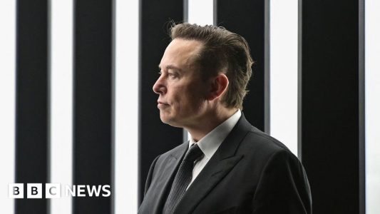 Jurors say Musk is "off his rocker" and "narcissistic" - Dispatch Weekly