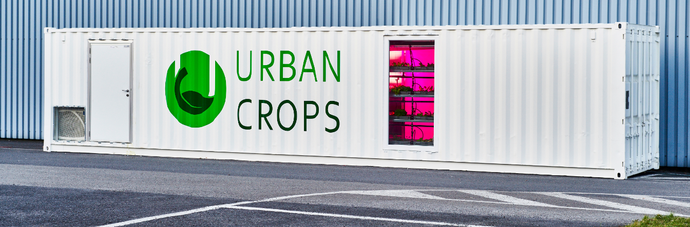 The Future of Vertical Farming in 5 Inspiring Examples